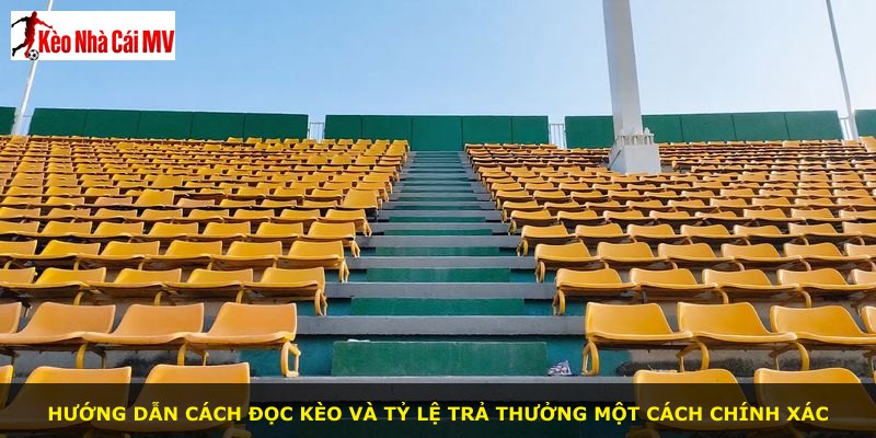 Hướng dẫn cách đọc kèo và tỷ lệ trả thưởng một cách chính xác