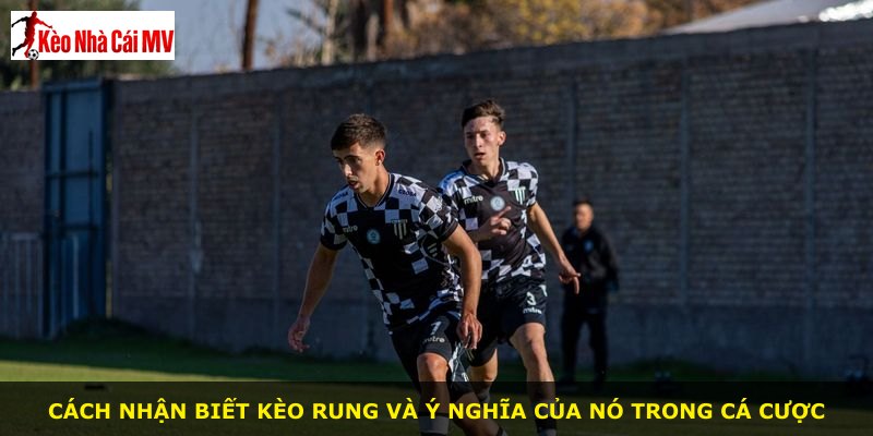 Cách nhận biết kèo rung và ý nghĩa của nó trong cá cược