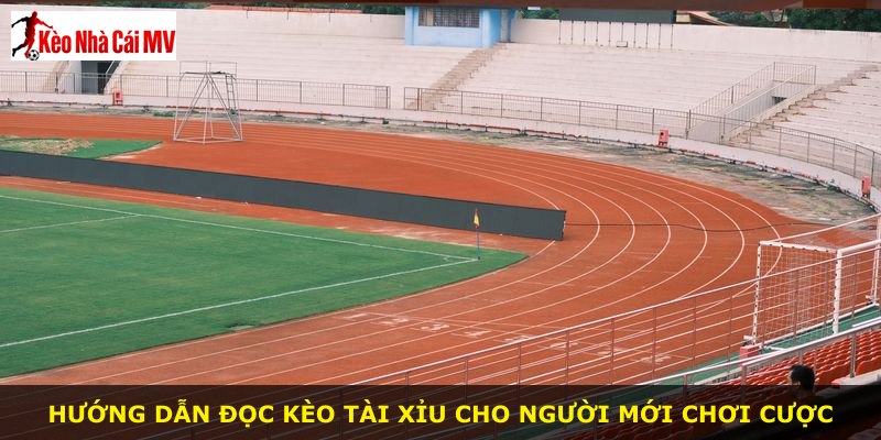 Hướng dẫn đọc kèo Tài Xỉu cho người mới chơi cược