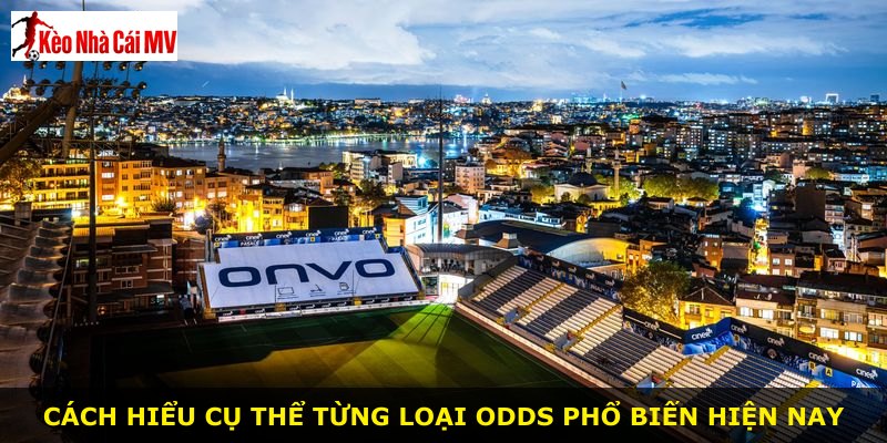 Cách hiểu cụ thể từng loại odds phổ biến hiện nay