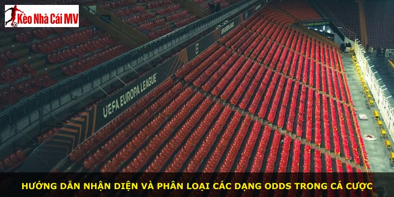 Hướng dẫn nhận diện và phân loại các dạng odds trong cá cược