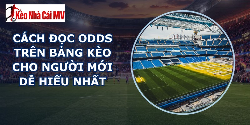 Cách Đọc Odds Trên Bảng Kèo