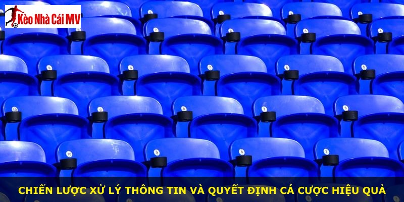 Chiến lược xử lý thông tin và quyết định cá cược hiệu quả