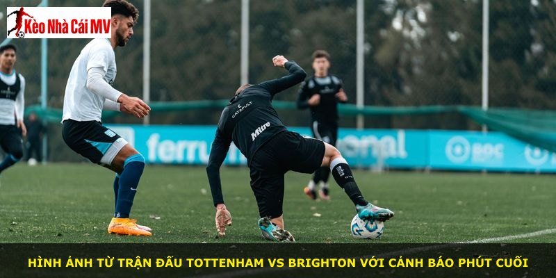 Hình ảnh từ trận đấu Tottenham vs Brighton với cảnh báo phút cuối