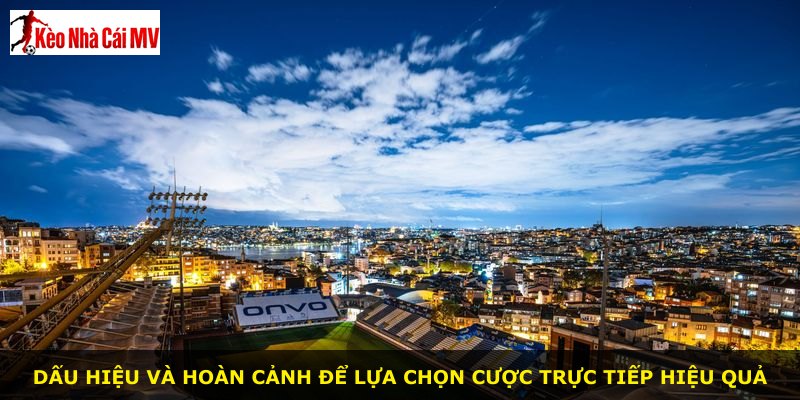 Dấu hiệu và hoàn cảnh để lựa chọn cược trực tiếp hiệu quả