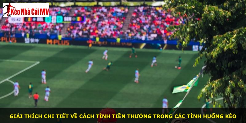 Giải thích chi tiết về cách tính tiền thưởng trong các tình huống kèo