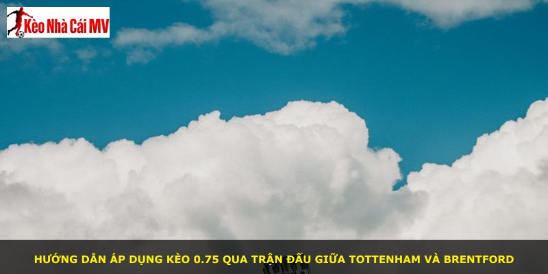 Hướng dẫn áp dụng kèo 0.75 qua trận đấu giữa Tottenham và Brentford