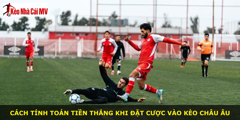 Cách tính toán tiền thắng khi đặt cược vào kèo châu Âu