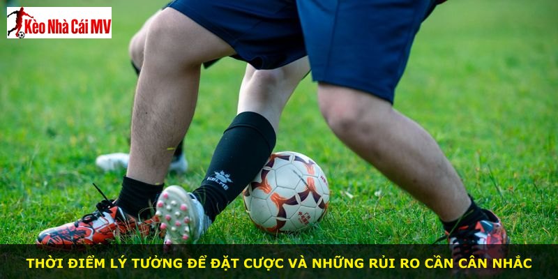 Thời điểm lý tưởng để đặt cược và những rủi ro cần cân nhắc