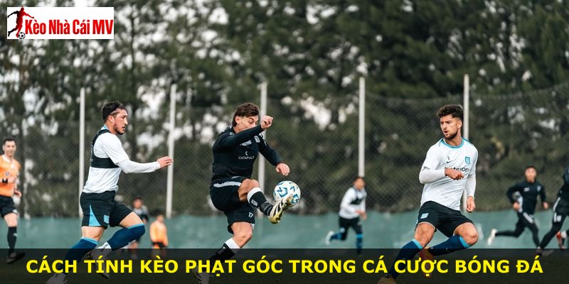Cách tính kèo phạt góc trong cá cược bóng đá
