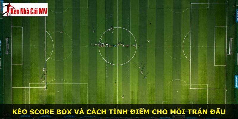 Kèo score box và cách tính điểm cho mỗi trận đấu